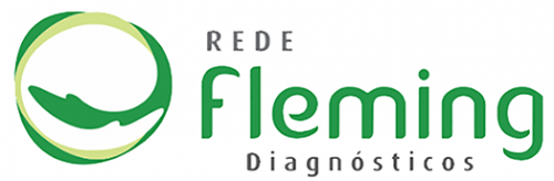 Logo Rede Fleming